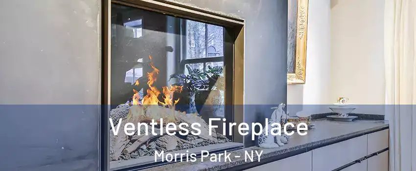 Ventless Fireplace Morris Park - NY