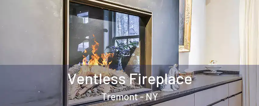 Ventless Fireplace Tremont - NY