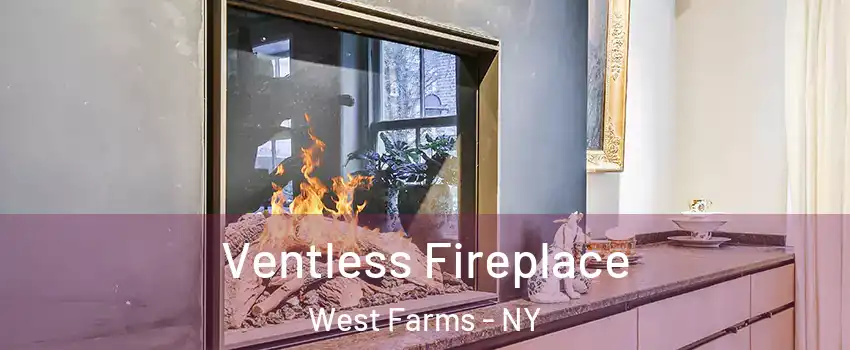 Ventless Fireplace West Farms - NY