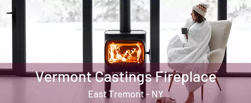 Vermont Castings Fireplace East Tremont - NY