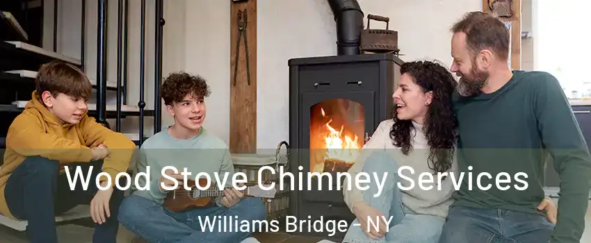 Wood Stove Chimney Services Williams Bridge - NY