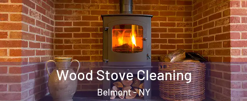 Wood Stove Cleaning Belmont - NY