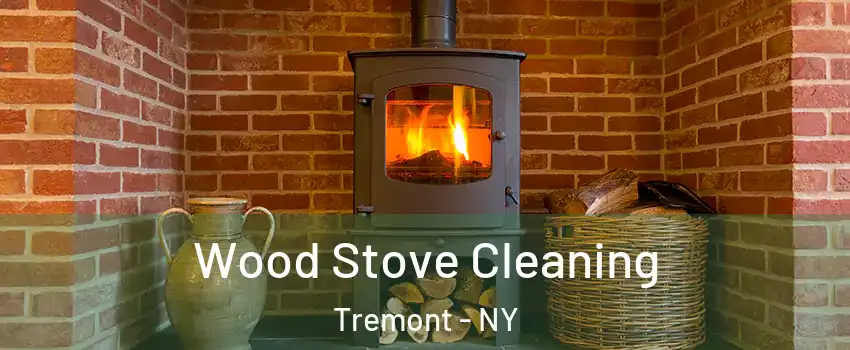 Wood Stove Cleaning Tremont - NY