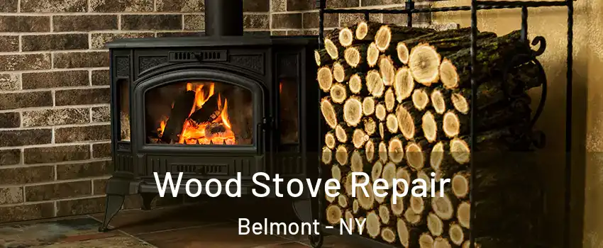 Wood Stove Repair Belmont - NY